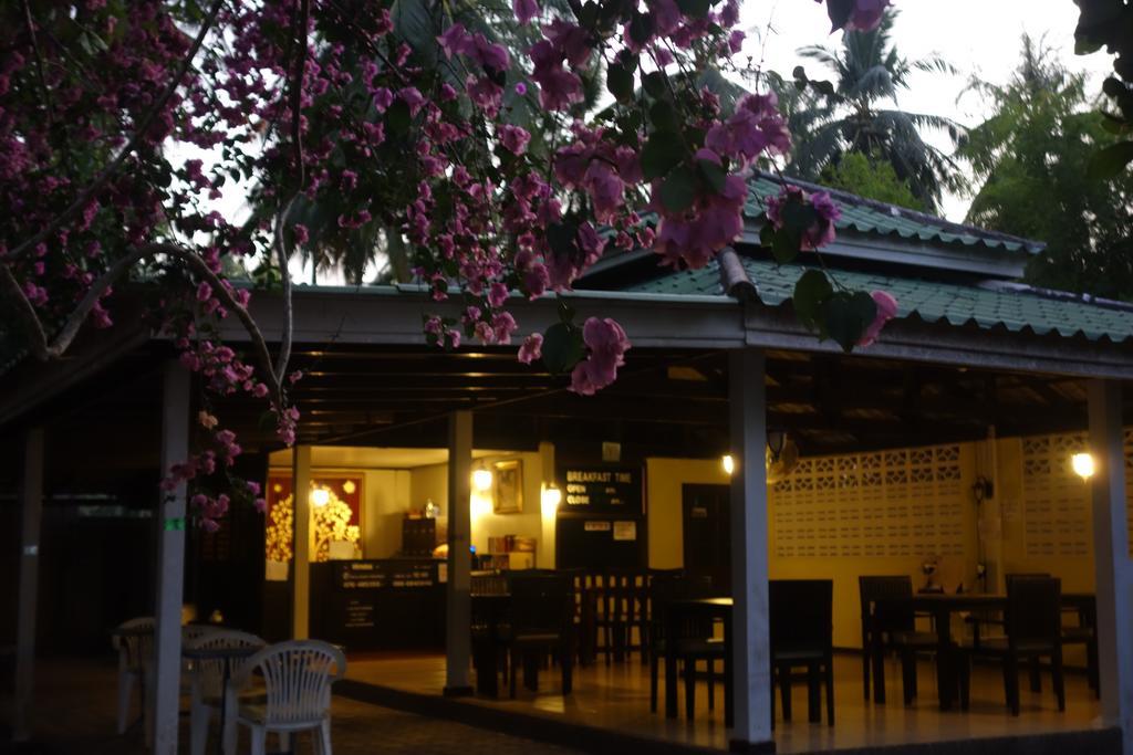 蔻立 考拉克山坡旅馆酒店 外观 照片