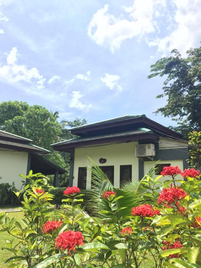 蔻立 考拉克山坡旅馆酒店 外观 照片